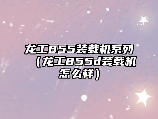 龍工855裝載機(jī)系列（龍工855d裝載機(jī)怎么樣）