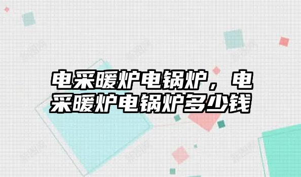 電采暖爐電鍋爐，電采暖爐電鍋爐多少錢