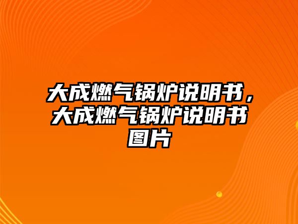 大成燃?xì)忮仩t說(shuō)明書(shū)，大成燃?xì)忮仩t說(shuō)明書(shū)圖片