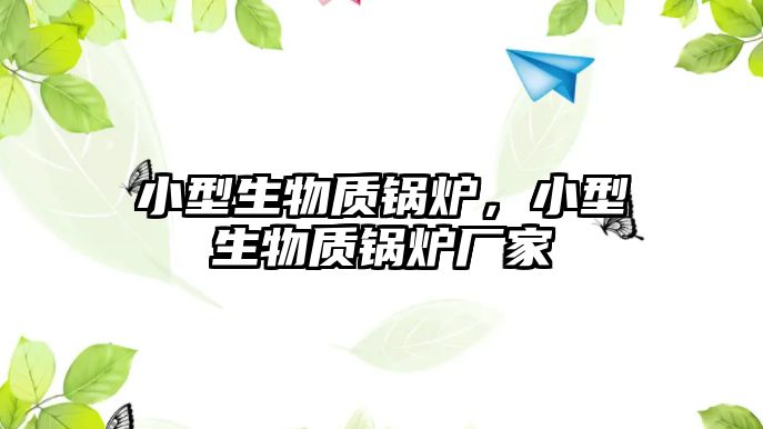 小型生物質(zhì)鍋爐，小型生物質(zhì)鍋爐廠家