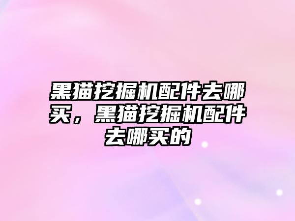 黑貓挖掘機配件去哪買，黑貓挖掘機配件去哪買的