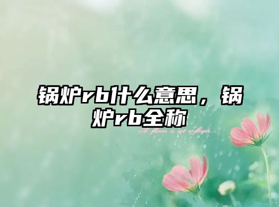 鍋爐rb什么意思，鍋爐rb全稱(chēng)