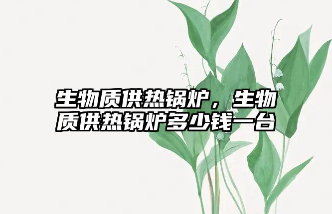 生物質(zhì)供熱鍋爐，生物質(zhì)供熱鍋爐多少錢一臺(tái)