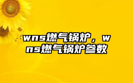 wns燃?xì)忮仩t，wns燃?xì)忮仩t參數(shù)