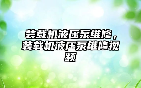 裝載機液壓泵維修，裝載機液壓泵維修視頻