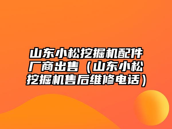 山東小松挖掘機配件廠商出售（山東小松挖掘機售后維修電話）