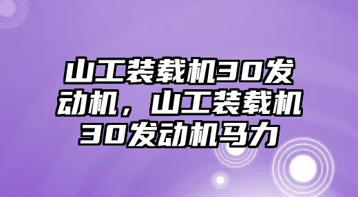 山工裝載機30發(fā)動機，山工裝載機30發(fā)動機馬力