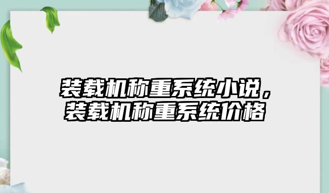 裝載機(jī)稱重系統(tǒng)小說，裝載機(jī)稱重系統(tǒng)價(jià)格