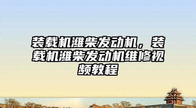 裝載機濰柴發(fā)動機，裝載機濰柴發(fā)動機維修視頻教程