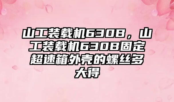 山工裝載機(jī)630B，山工裝載機(jī)630B固定超速箱外殼的螺絲多大得