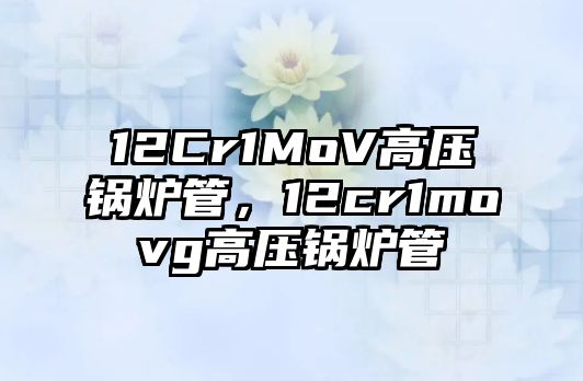 12Cr1MoV高壓鍋爐管，12cr1movg高壓鍋爐管