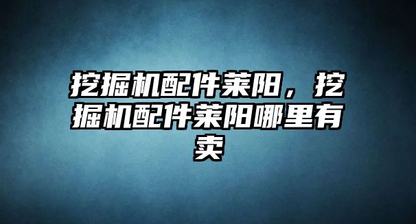 挖掘機配件萊陽，挖掘機配件萊陽哪里有賣