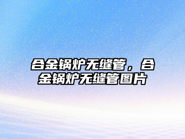 合金鍋爐無縫管，合金鍋爐無縫管圖片