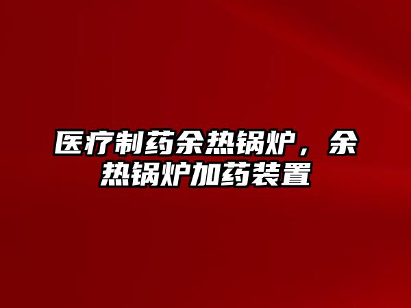 醫(yī)療制藥余熱鍋爐，余熱鍋爐加藥裝置