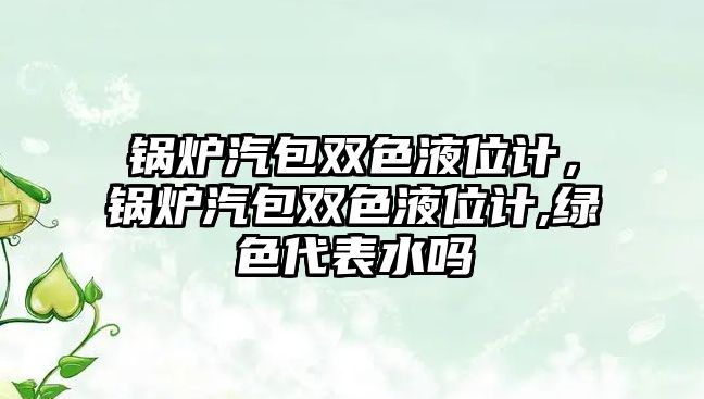 鍋爐汽包雙色液位計(jì)，鍋爐汽包雙色液位計(jì),綠色代表水嗎