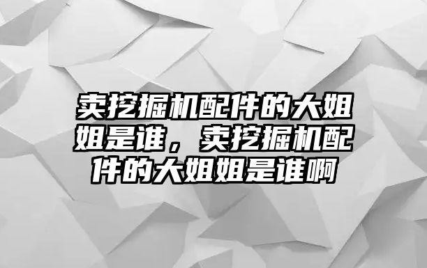 賣挖掘機(jī)配件的大姐姐是誰，賣挖掘機(jī)配件的大姐姐是誰啊