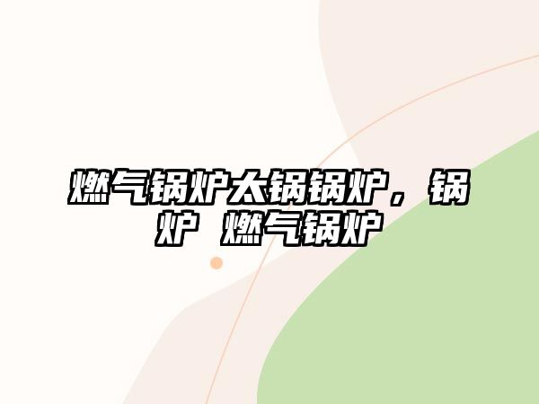 燃?xì)忮仩t太鍋鍋爐，鍋爐 燃?xì)忮仩t