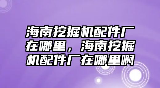 海南挖掘機(jī)配件廠在哪里，海南挖掘機(jī)配件廠在哪里啊