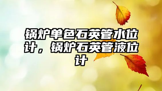 鍋爐單色石英管水位計，鍋爐石英管液位計