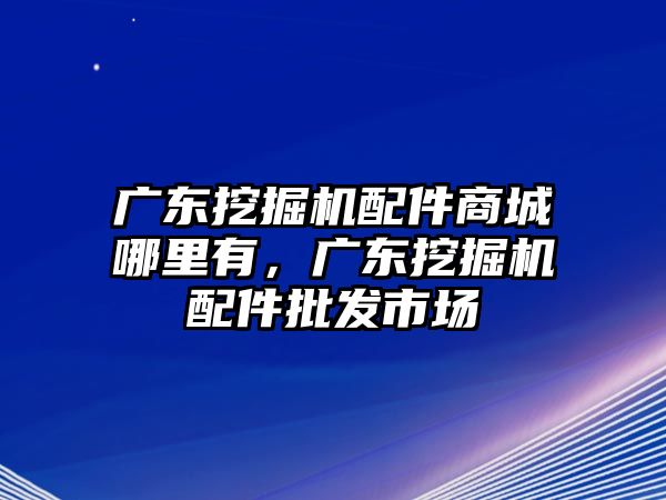 廣東挖掘機配件商城哪里有，廣東挖掘機配件批發(fā)市場