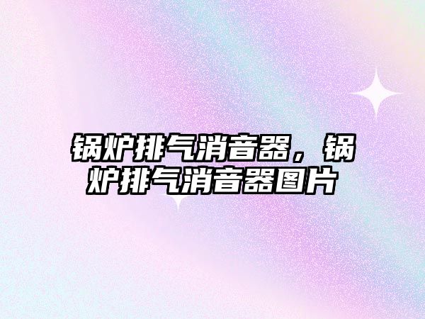 鍋爐排氣消音器，鍋爐排氣消音器圖片