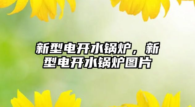 新型電開水鍋爐，新型電開水鍋爐圖片