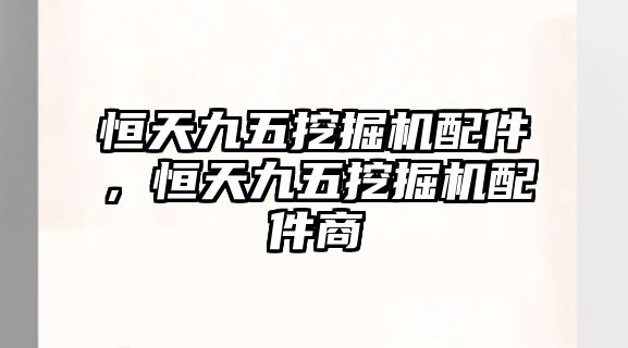 恒天九五挖掘機(jī)配件，恒天九五挖掘機(jī)配件商