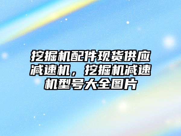 挖掘機配件現(xiàn)貨供應減速機，挖掘機減速機型號大全圖片