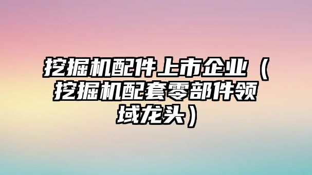 挖掘機(jī)配件上市企業(yè)（挖掘機(jī)配套零部件領(lǐng)域龍頭）