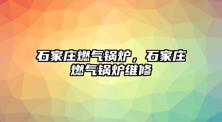 石家莊燃?xì)忮仩t，石家莊燃?xì)忮仩t維修