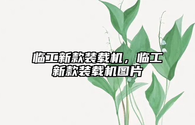 臨工新款裝載機(jī)，臨工新款裝載機(jī)圖片