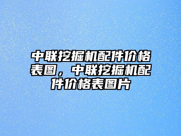 中聯(lián)挖掘機(jī)配件價(jià)格表圖，中聯(lián)挖掘機(jī)配件價(jià)格表圖片