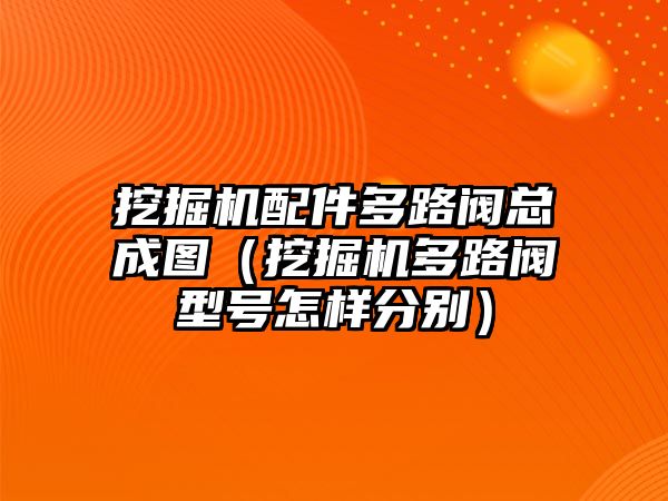 挖掘機(jī)配件多路閥總成圖（挖掘機(jī)多路閥型號(hào)怎樣分別）