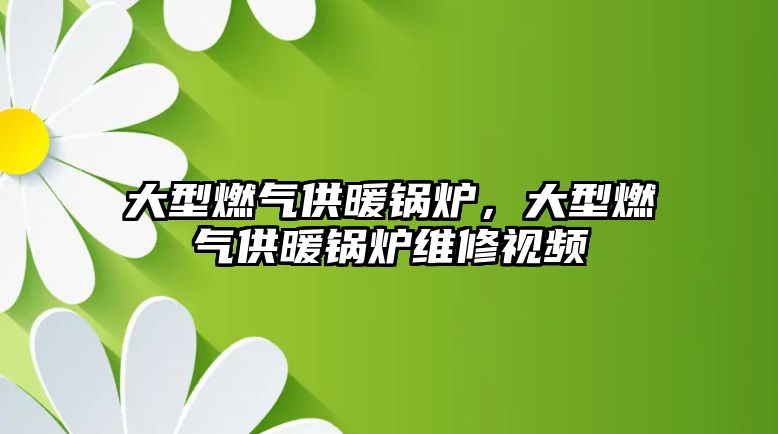 大型燃氣供暖鍋爐，大型燃氣供暖鍋爐維修視頻