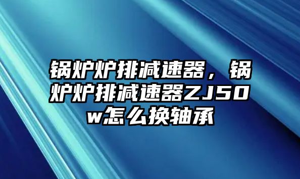 鍋爐爐排減速器，鍋爐爐排減速器ZJ50w怎么換軸承