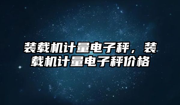 裝載機計量電子秤，裝載機計量電子秤價格