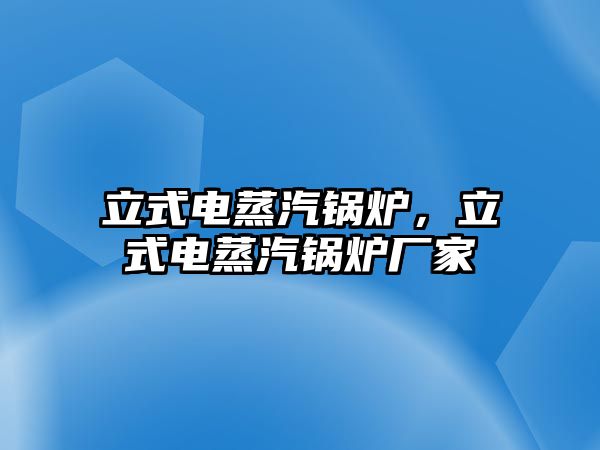 立式電蒸汽鍋爐，立式電蒸汽鍋爐廠家