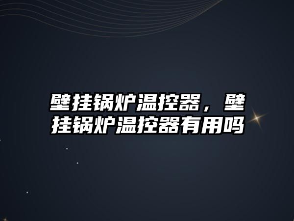 壁掛鍋爐溫控器，壁掛鍋爐溫控器有用嗎