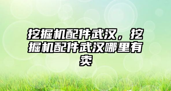 挖掘機配件武漢，挖掘機配件武漢哪里有賣