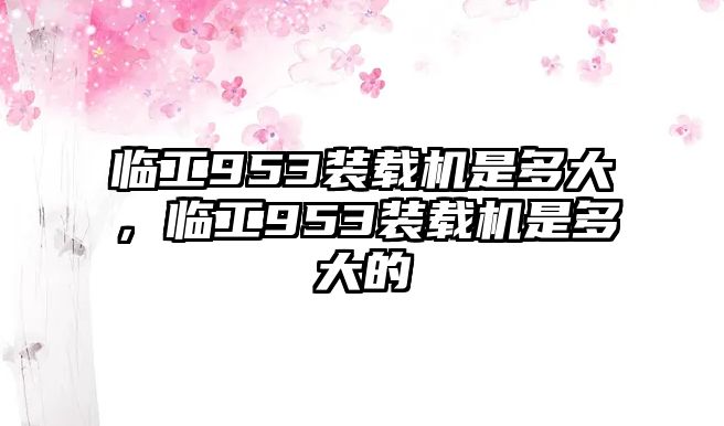 臨工953裝載機是多大，臨工953裝載機是多大的