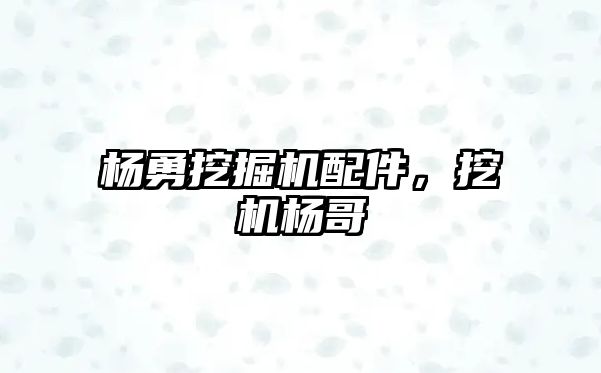 楊勇挖掘機配件，挖機楊哥