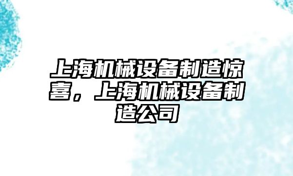 上海機械設(shè)備制造驚喜，上海機械設(shè)備制造公司