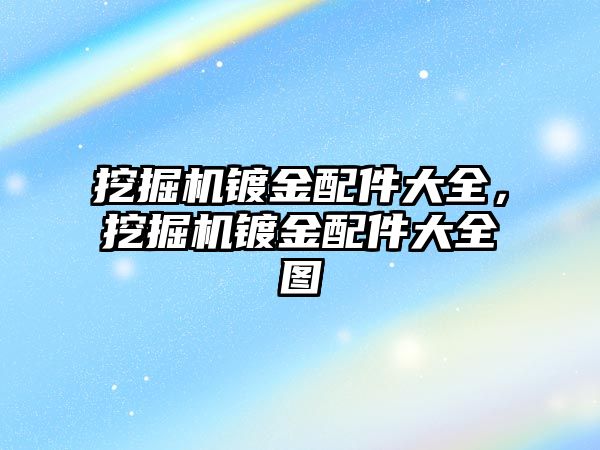 挖掘機鍍金配件大全，挖掘機鍍金配件大全圖