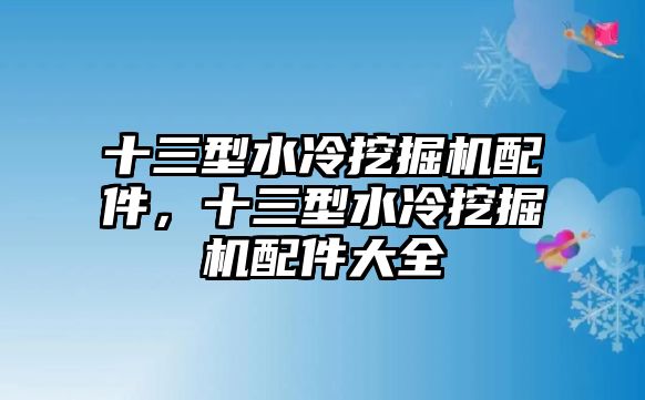 十三型水冷挖掘機(jī)配件，十三型水冷挖掘機(jī)配件大全