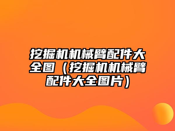 挖掘機機械臂配件大全圖（挖掘機機械臂配件大全圖片）