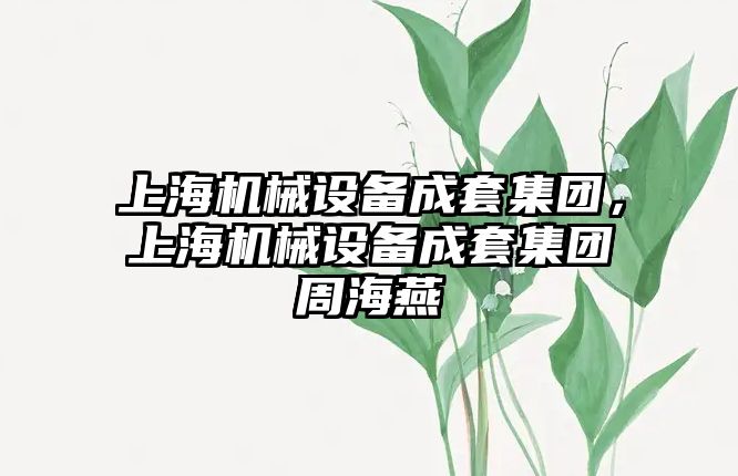 上海機械設(shè)備成套集團，上海機械設(shè)備成套集團周海燕