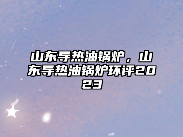 山東導(dǎo)熱油鍋爐，山東導(dǎo)熱油鍋爐環(huán)評2023