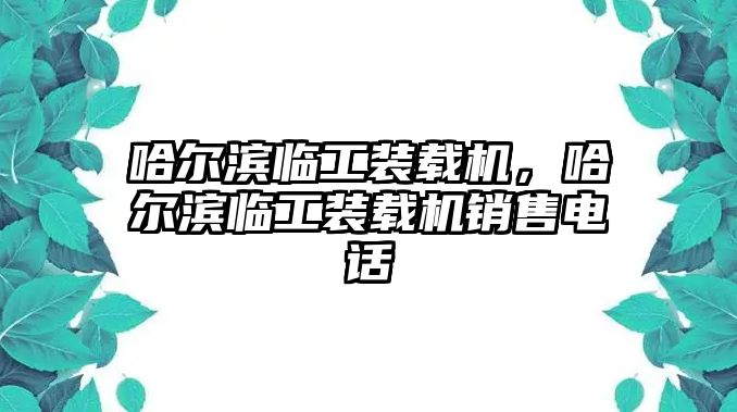 哈爾濱臨工裝載機，哈爾濱臨工裝載機銷售電話