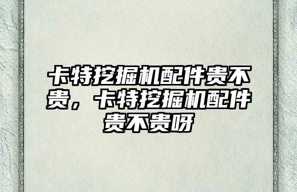 卡特挖掘機配件貴不貴，卡特挖掘機配件貴不貴呀