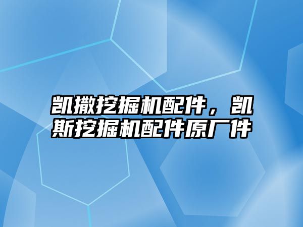 凱撒挖掘機配件，凱斯挖掘機配件原廠件